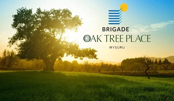 Featured Image of Brigade Oak Tree Place